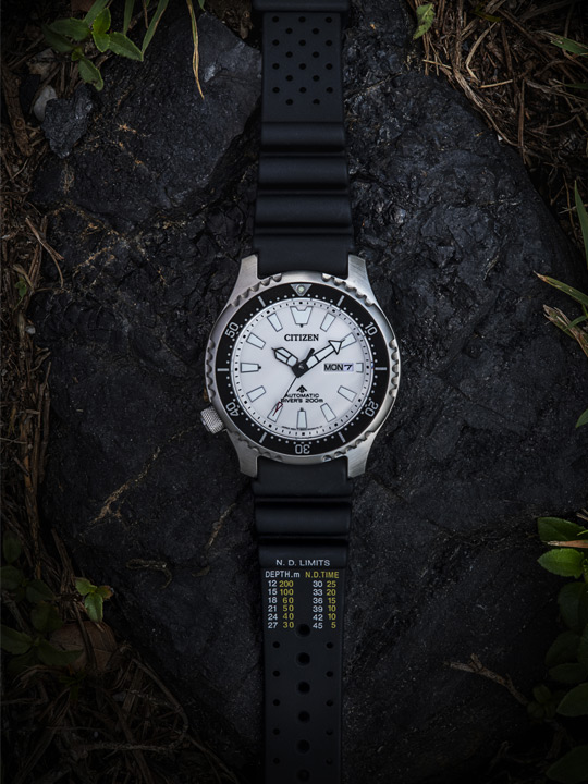 Jam Tanggan Promaster Limited Edition Fugu NY0118-11A: Desain Eksklusif dan Kualitas Tinggi